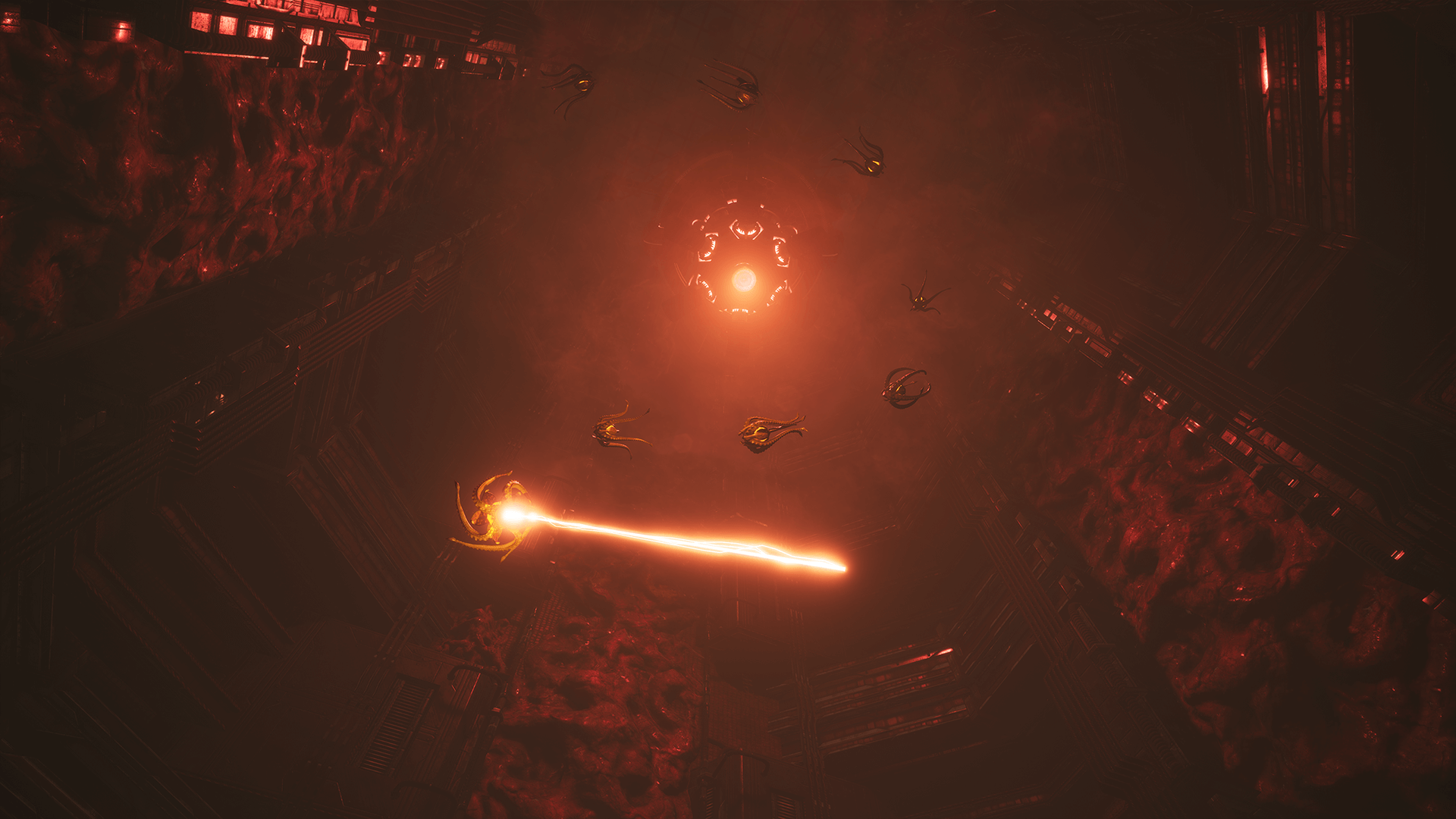 META screenshot